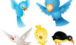 小鸟漫画,趣味横生的日常趣事